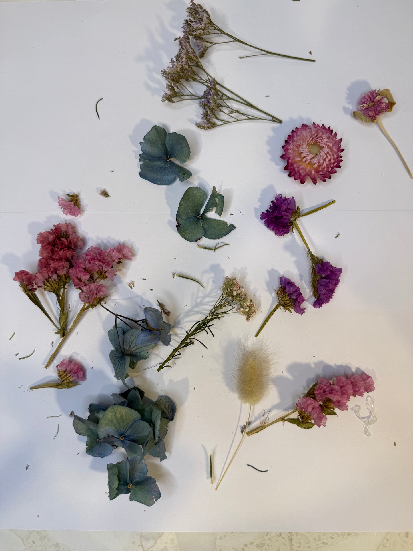 DIY Kit - Dried Flower Vase